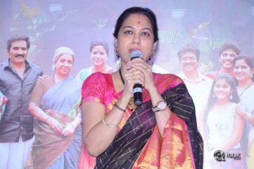 Ammammagarillu Movie Successmeet